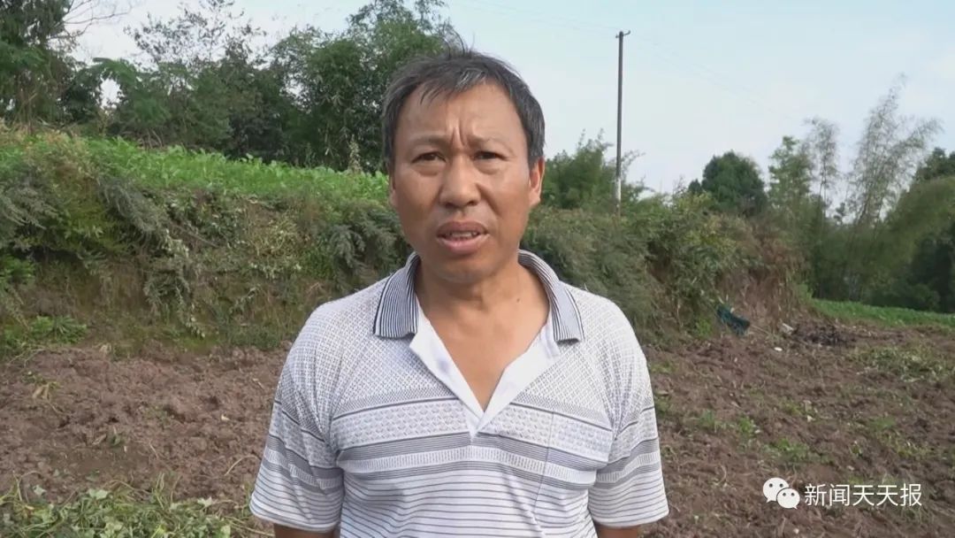 偷吃红薯被发现，乐山这里的村民懵了，这是啥动物？休闲区蓝鸢梦想 - Www.slyday.coM
