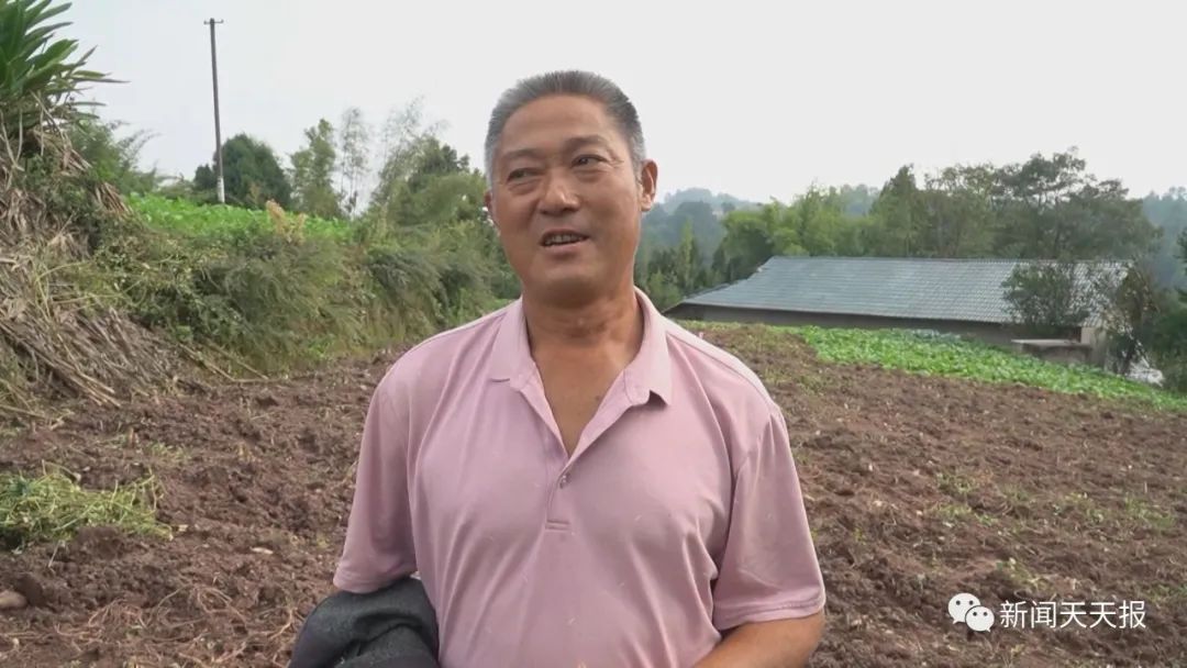 偷吃红薯被发现，乐山这里的村民懵了，这是啥动物？休闲区蓝鸢梦想 - Www.slyday.coM