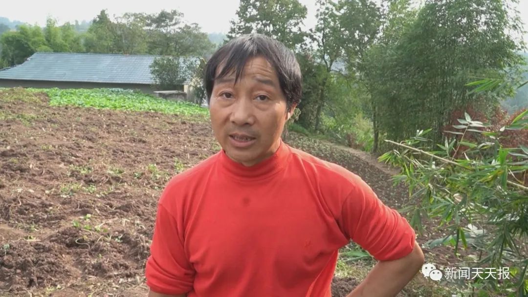 偷吃红薯被发现，乐山这里的村民懵了，这是啥动物？休闲区蓝鸢梦想 - Www.slyday.coM