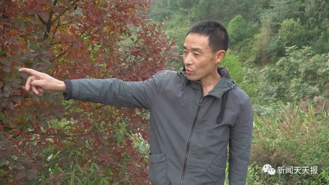 偷吃红薯被发现，乐山这里的村民懵了，这是啥动物？休闲区蓝鸢梦想 - Www.slyday.coM