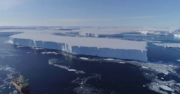 南极洲：南极，70多人感染