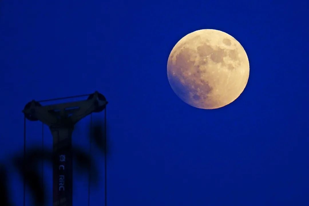 千载难逢！就在刚刚，沈阳人的朋友圈被刷屏！今晚你拍到了吗？休闲区蓝鸢梦想 - Www.slyday.coM