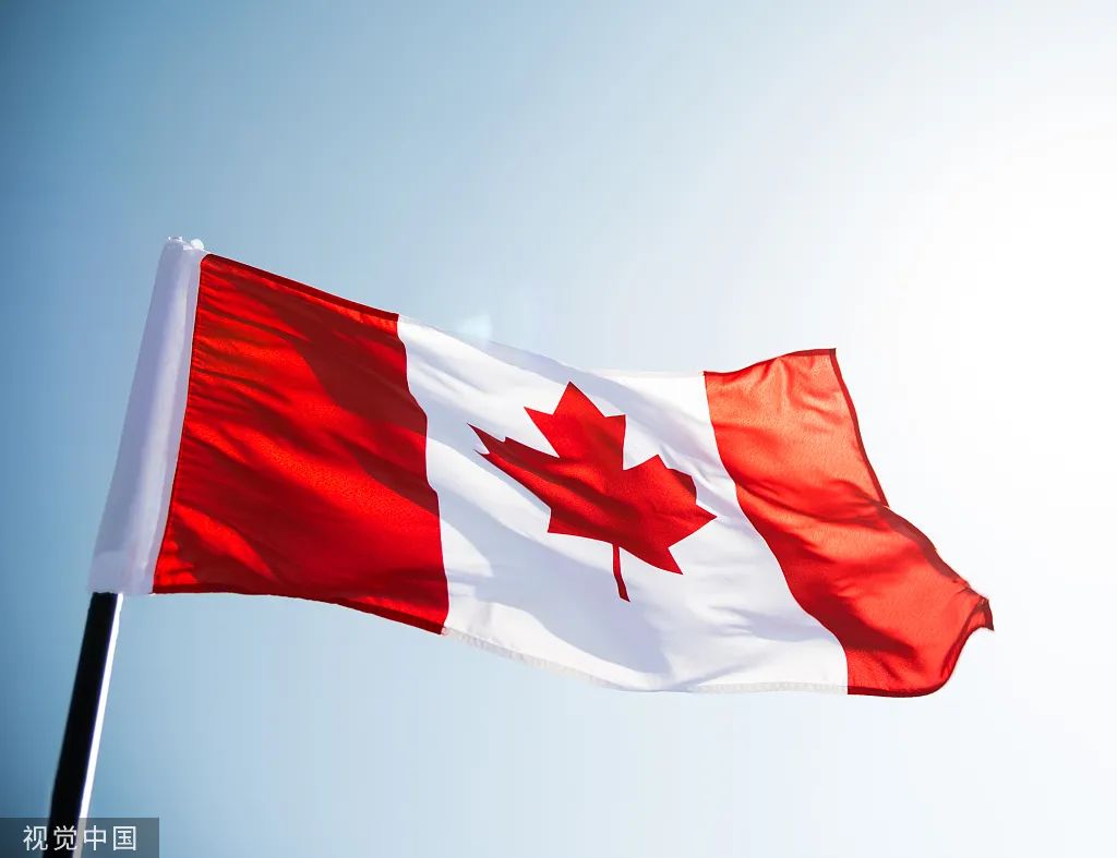 加拿大的国旗图案图片