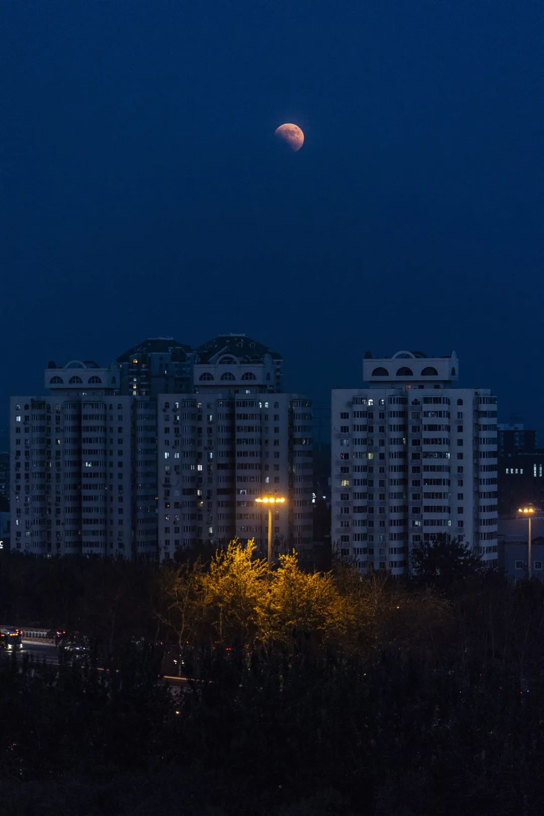 千载难逢！就在刚刚，沈阳人的朋友圈被刷屏！今晚你拍到了吗？休闲区蓝鸢梦想 - Www.slyday.coM