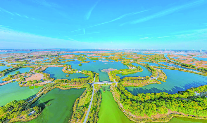 白马湖湿地美如画|芦苇|湿地_新浪新闻