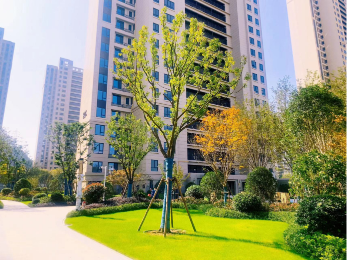 在六堰拍到的！要办这件事的抓紧！休闲区蓝鸢梦想 - Www.slyday.coM