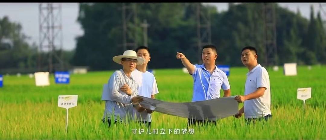 专家点赞镜头下的文明成都 成都首届公益短视频大赛评审会落幕休闲区蓝鸢梦想 - Www.slyday.coM