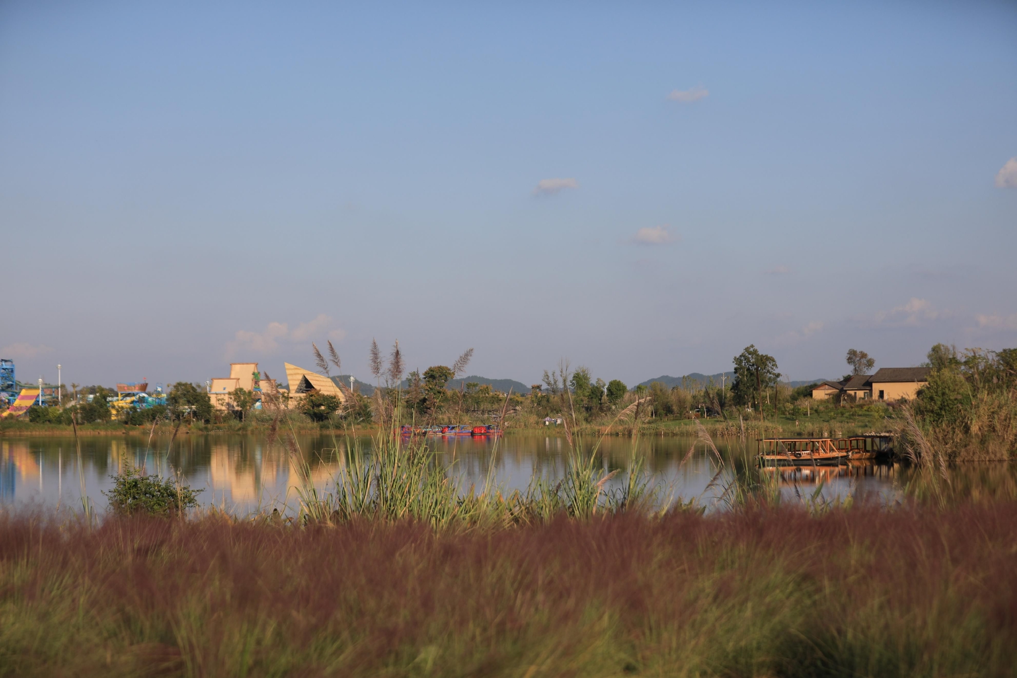 四川南充凤仪湾出彩粉黛节,粉色海洋的浪漫限定,你打卡了吗?