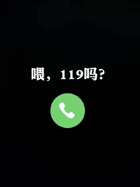 什么是119_新浪新闻