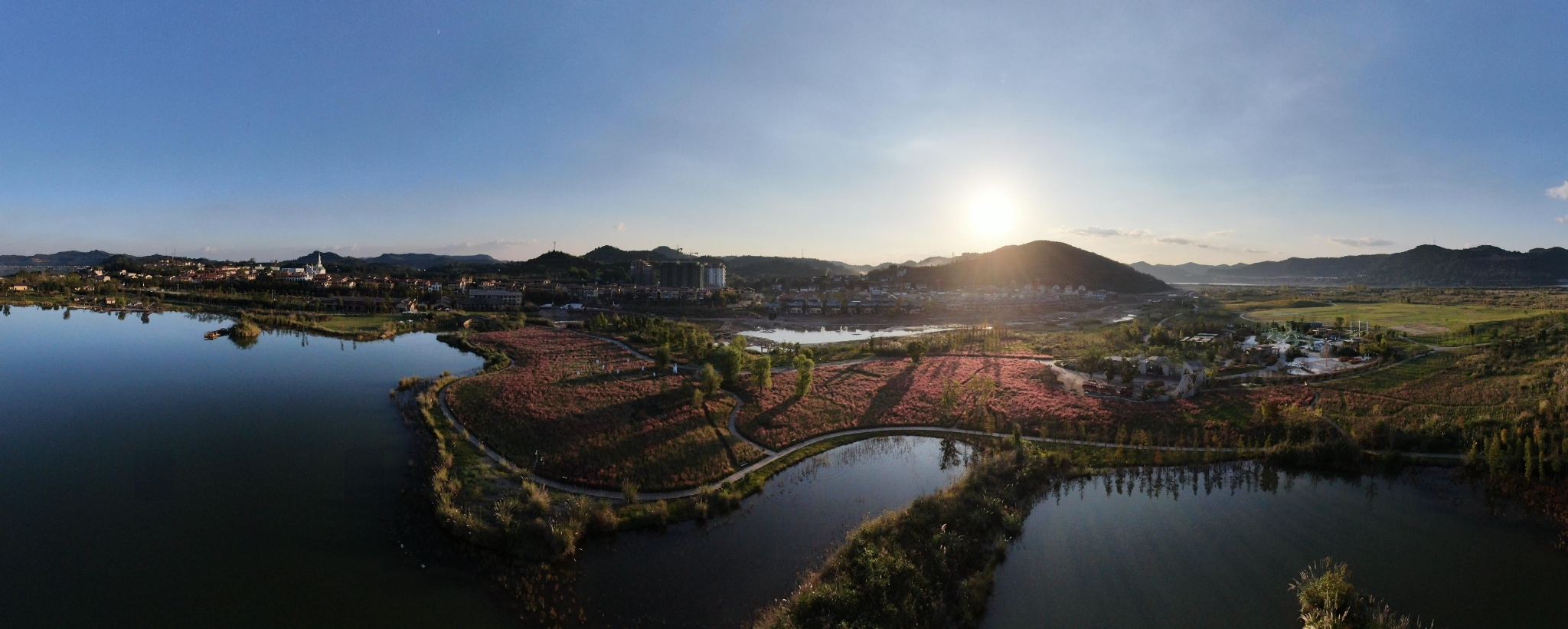 四川南充凤仪湾出彩粉黛节,粉色海洋的浪漫限定,你打卡了吗?