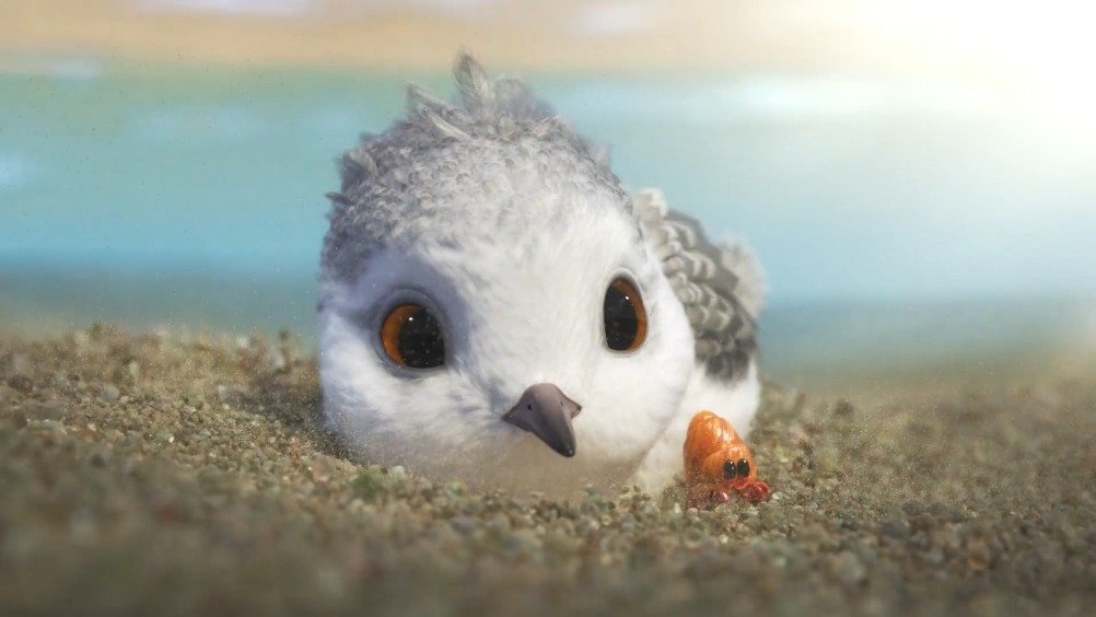 现在才看到这个讲述了小鹬成长过程的动画短片《piper》……|piper|动画短片_新浪新闻