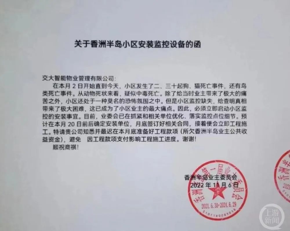 成都一小区内数十只猫狗疑被投毒后死亡，警方已介入调查休闲区蓝鸢梦想 - Www.slyday.coM