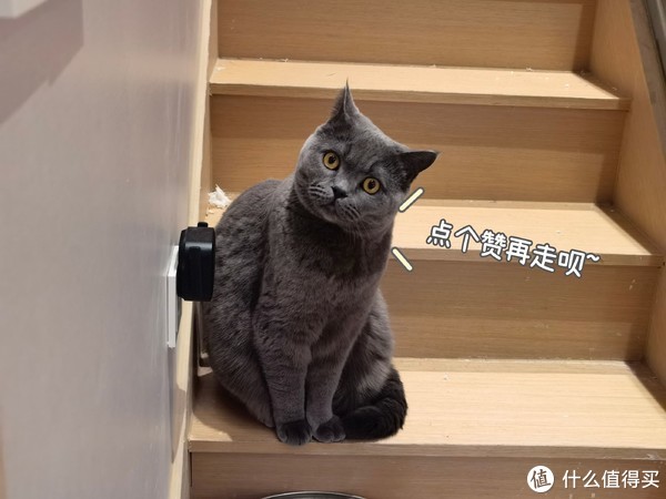 95后家里的这些东西，让朋友们都羡慕极了！客厅厨房卫生间书房...聊一聊我自用的提升居住幸福感的好物~休闲区蓝鸢梦想 - Www.slyday.coM