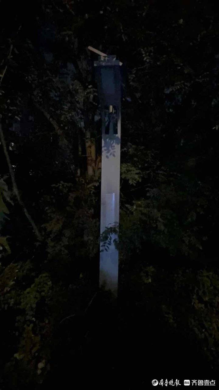 我向市长说句话|太阳能路灯不太亮,这条路"黑灯瞎火"挺闹心__财经头条