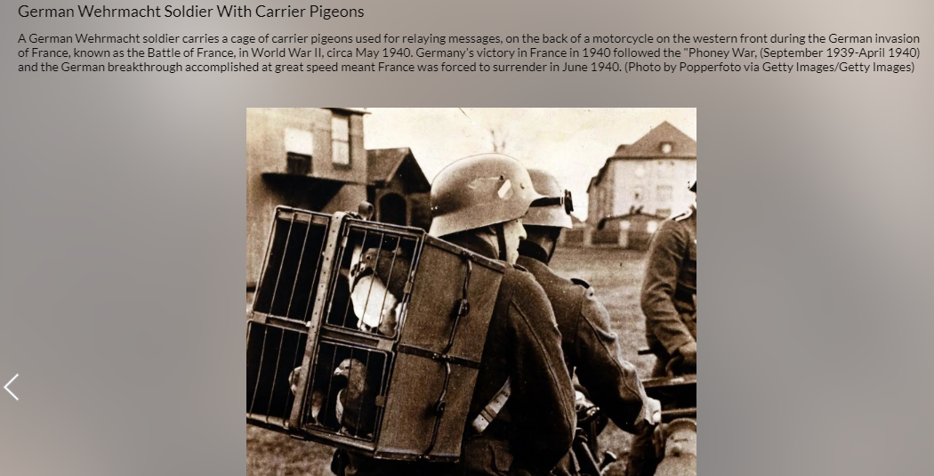 "假战"(phoney war)之后,德军横扫法国并于1940年6月占领巴黎.