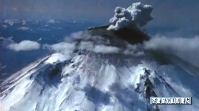 重生1980开局迎娶姐姐闺蜜 重生1980这个养子我不当了