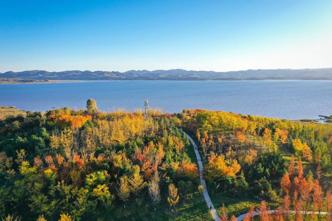 五彩缤纷的草海北坡生态公园报名时间:11月2日——11月12日报名看过来