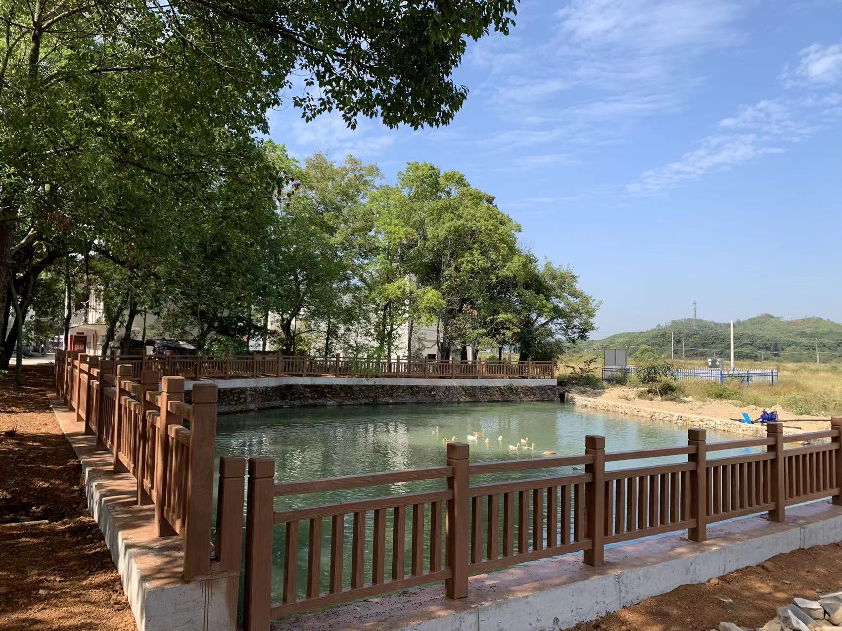 农村水塘挖深限制 干涸池塘为何再现鱼虾