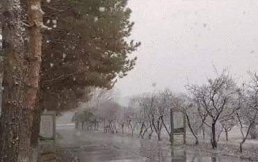 △新疆9日降雪（图片来源：@新疆气象）
