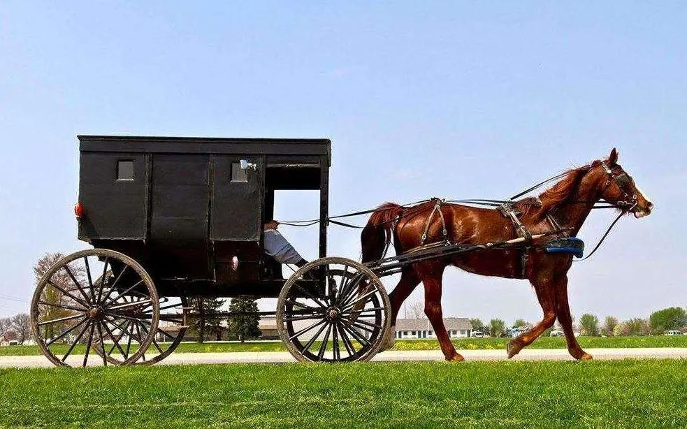 i 音乐 第974期 | 快乐的"邮递马车"|邮递马车|赫尔曼|作曲_新浪新闻