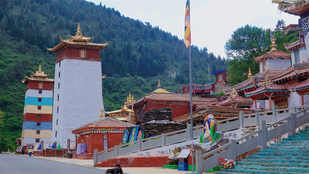 小众旅行目的地丨被誉为"被遗忘的圣地"的曾克寺|喇嘛|圣地|藏传佛教