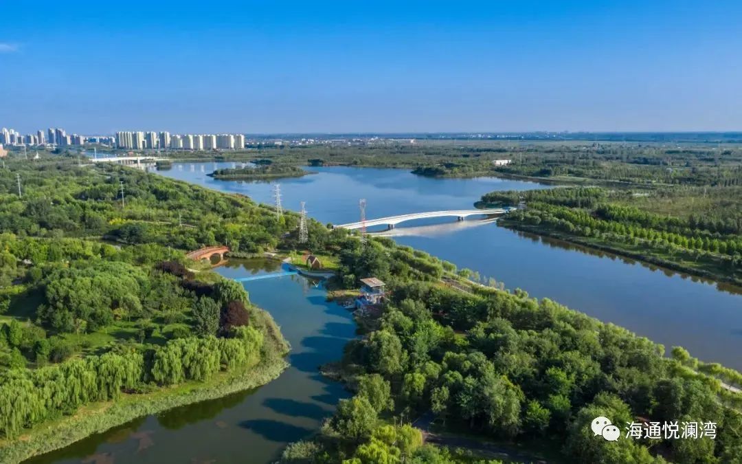 东营网上约茶暗号大全及使用技巧解析