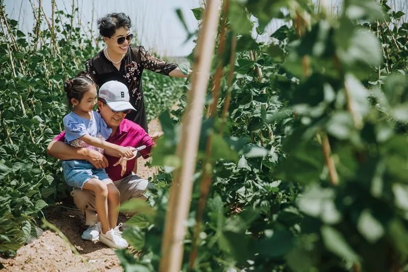 “一分田，一分甜。” 这就是桃李春风的田园生活！休闲区蓝鸢梦想 - Www.slyday.coM