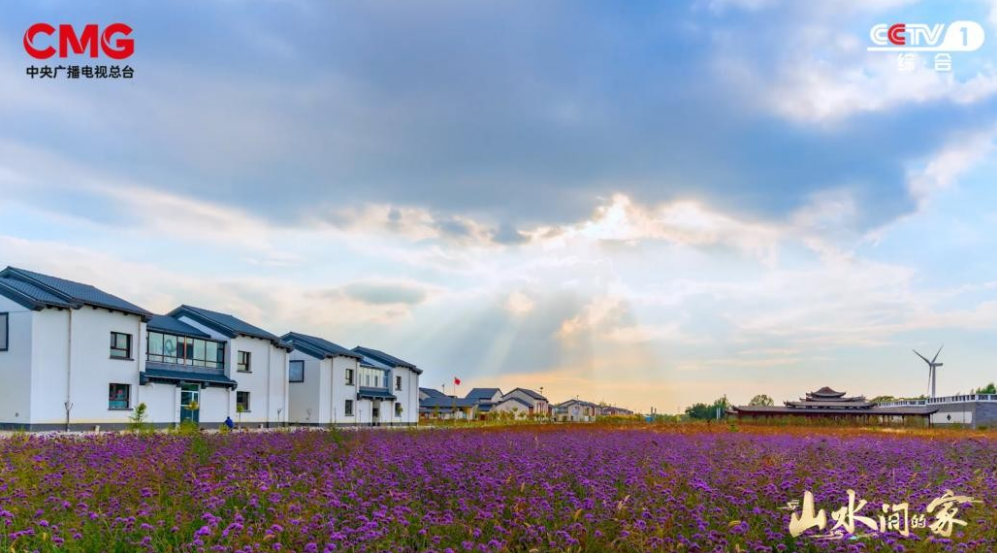 原来这就是宝藏乡村！《山水间的家》第六期邀您沉浸式“探宝”休闲区蓝鸢梦想 - Www.slyday.coM
