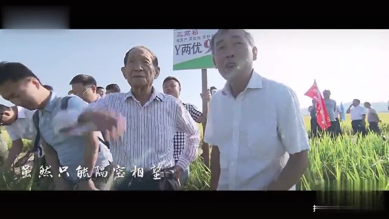 音乐短片:《无我》|无我_新浪新闻