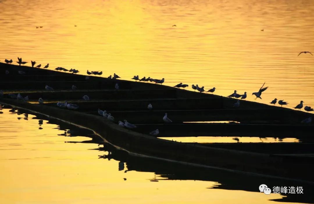 快乐，就是合得来的朋友聚一聚 ~ 91.8美图秀休闲区蓝鸢梦想 - Www.slyday.coM