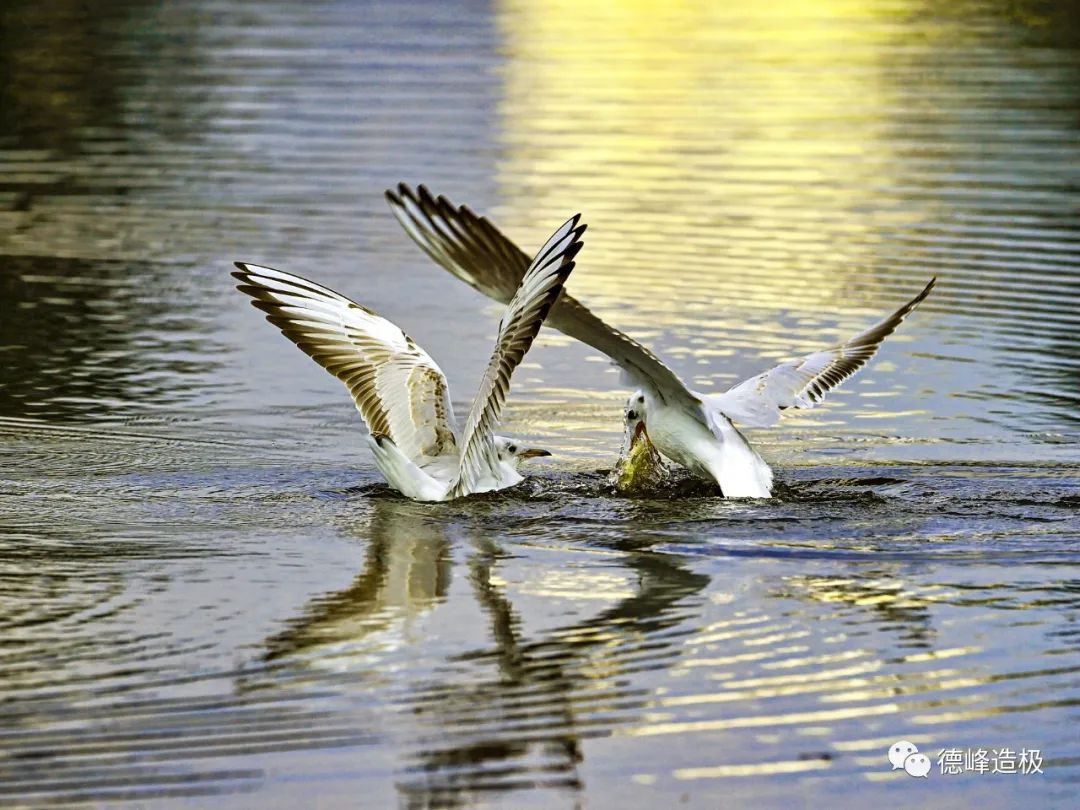 快乐，就是合得来的朋友聚一聚 ~ 91.8美图秀休闲区蓝鸢梦想 - Www.slyday.coM