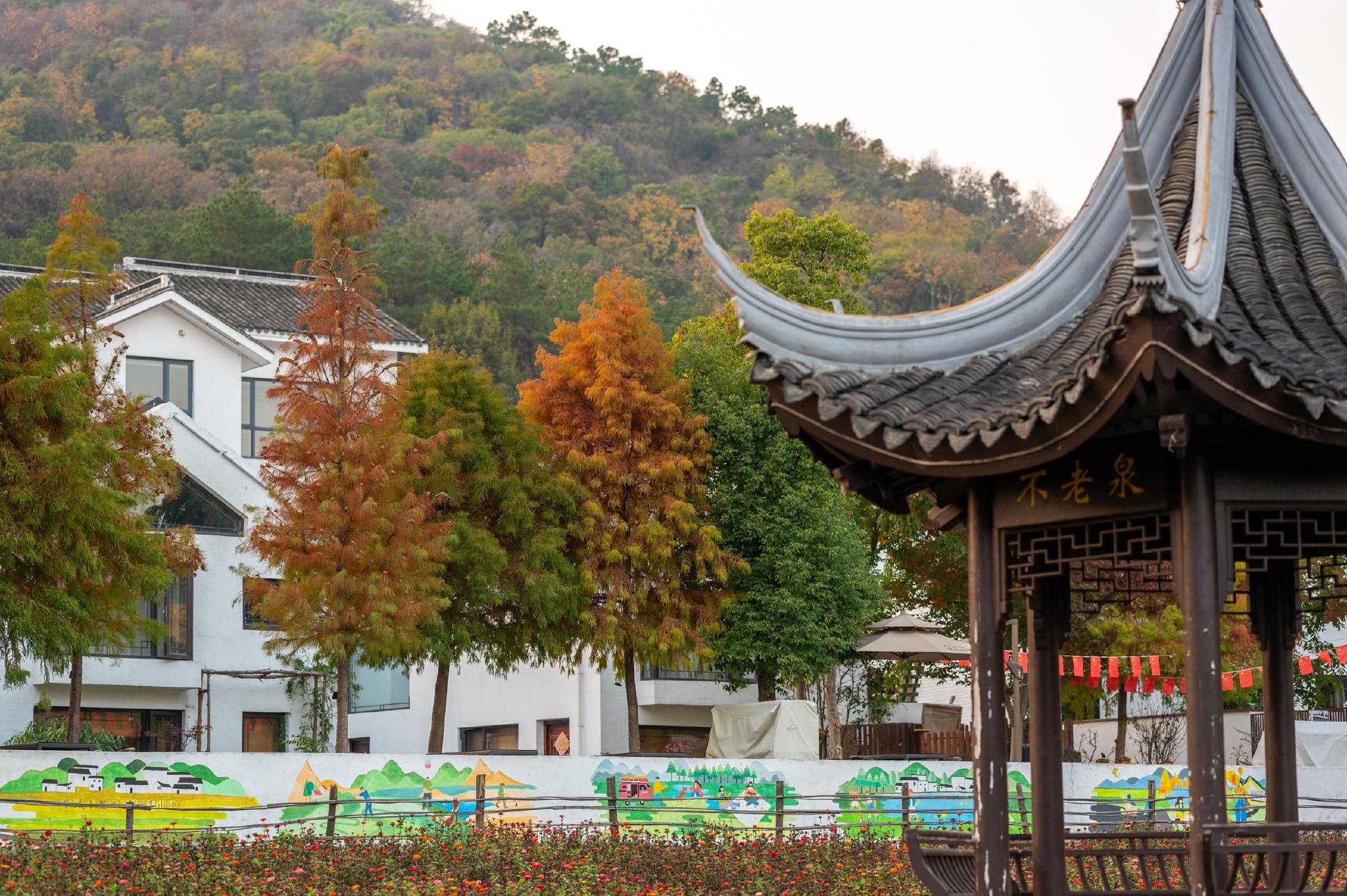 南京浦口老山脚下的村子，名字叫“不老村”，适合周末来玩|老山|村子|美丽乡村_新浪新闻