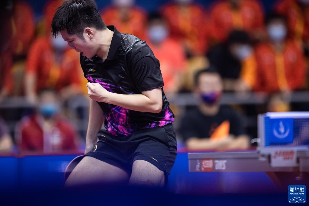 11月12日,樊振东在比赛中庆祝得分.新华社记者 伍志尊 摄