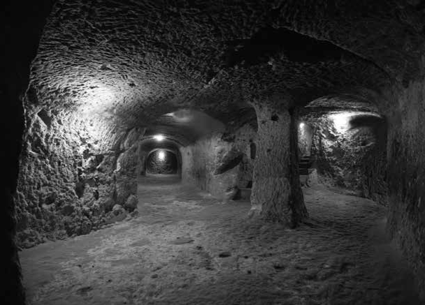 没有我们的世界：人类活动如何影响了地球？休闲区蓝鸢梦想 - Www.slyday.coM