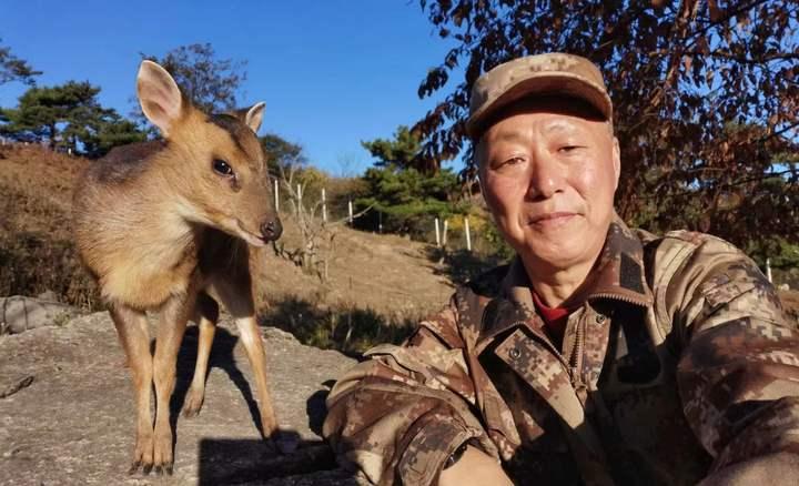 相伴82天,杭州这里有一场小别离,被救护的网红黄麂“嘬嘬”回归大自然|网红|杭州市|小别离_新浪新闻