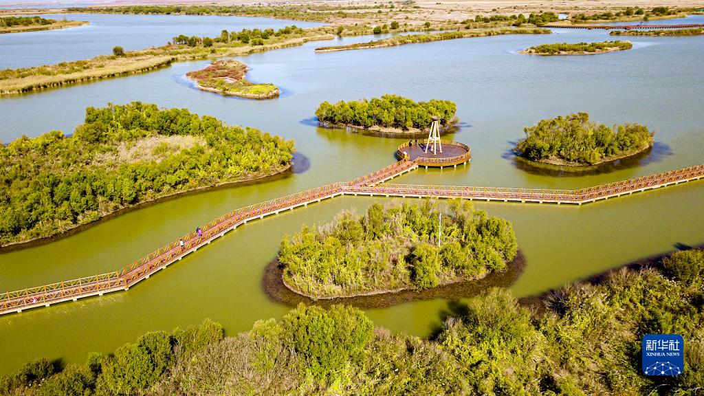 东营网上约茶怎么打暗号