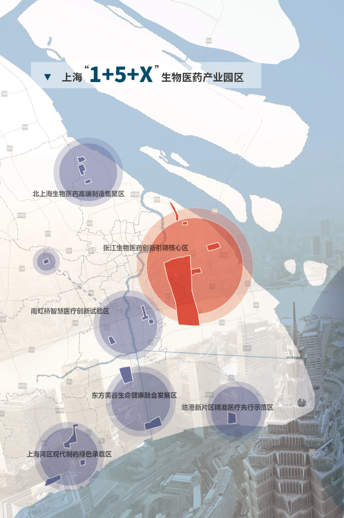 上海“1+5+X”生物医药产业基地布局 本文图片均由上海市经信委供图