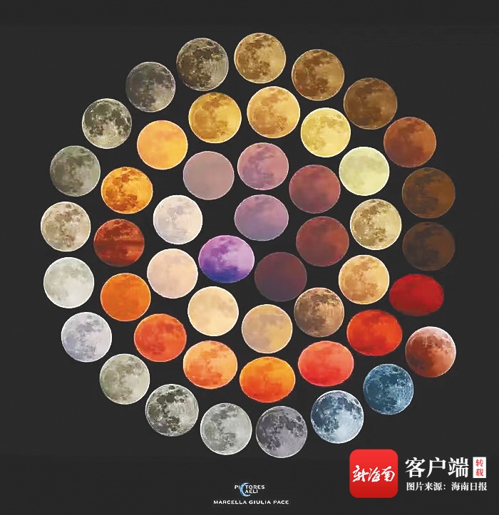 南京照相馆讲了什么 南京照相馆剧情介绍