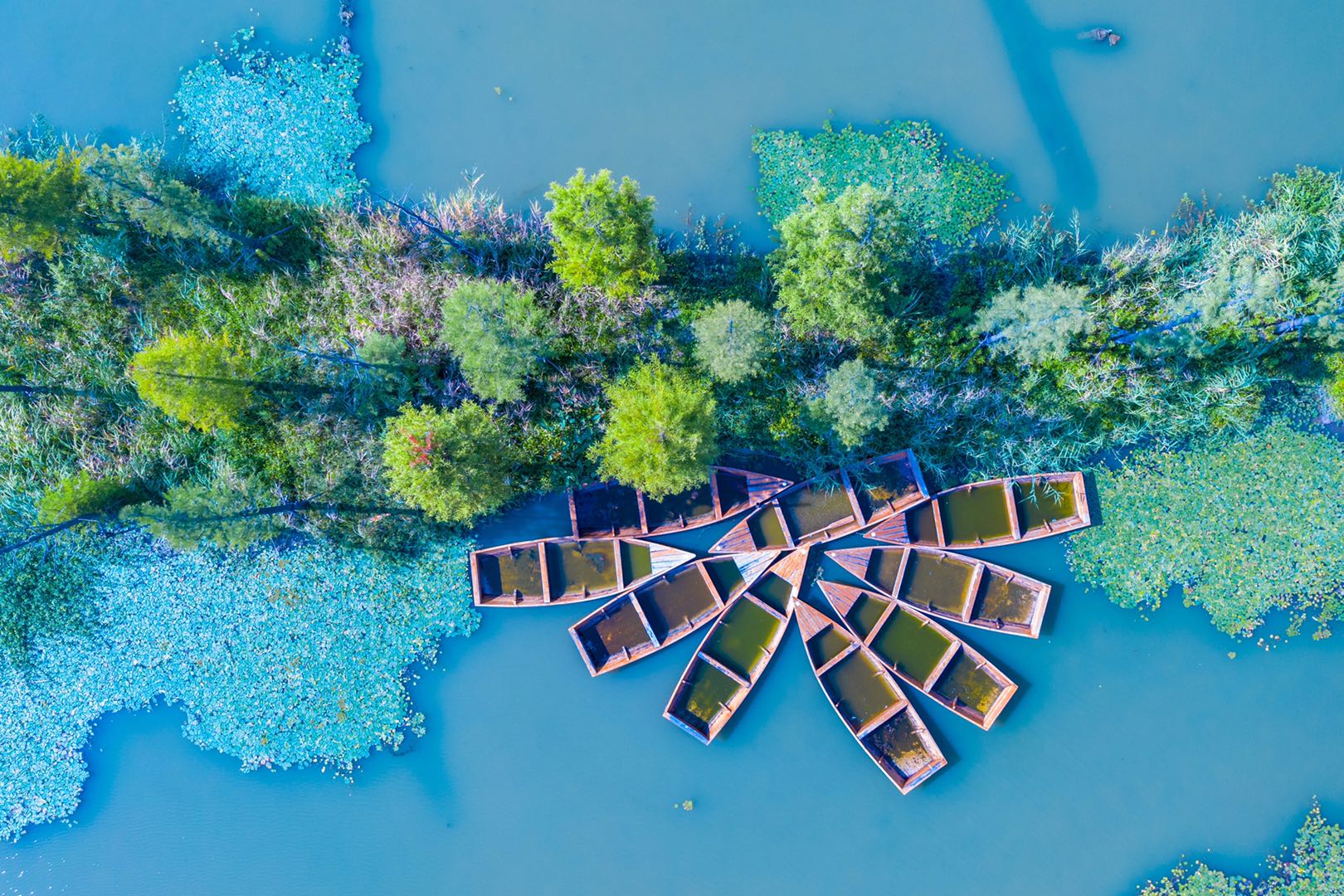 上海金山区揭秘：那些被忽视的故事与风景