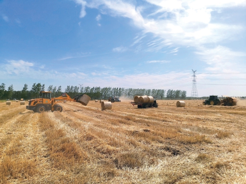 在安徽省蚌埠市怀远县淝南镇的田间，农机手正在驾驶打捆机将小麦收割后的秸秆进行打捆收集。怀远县农业农村局供图