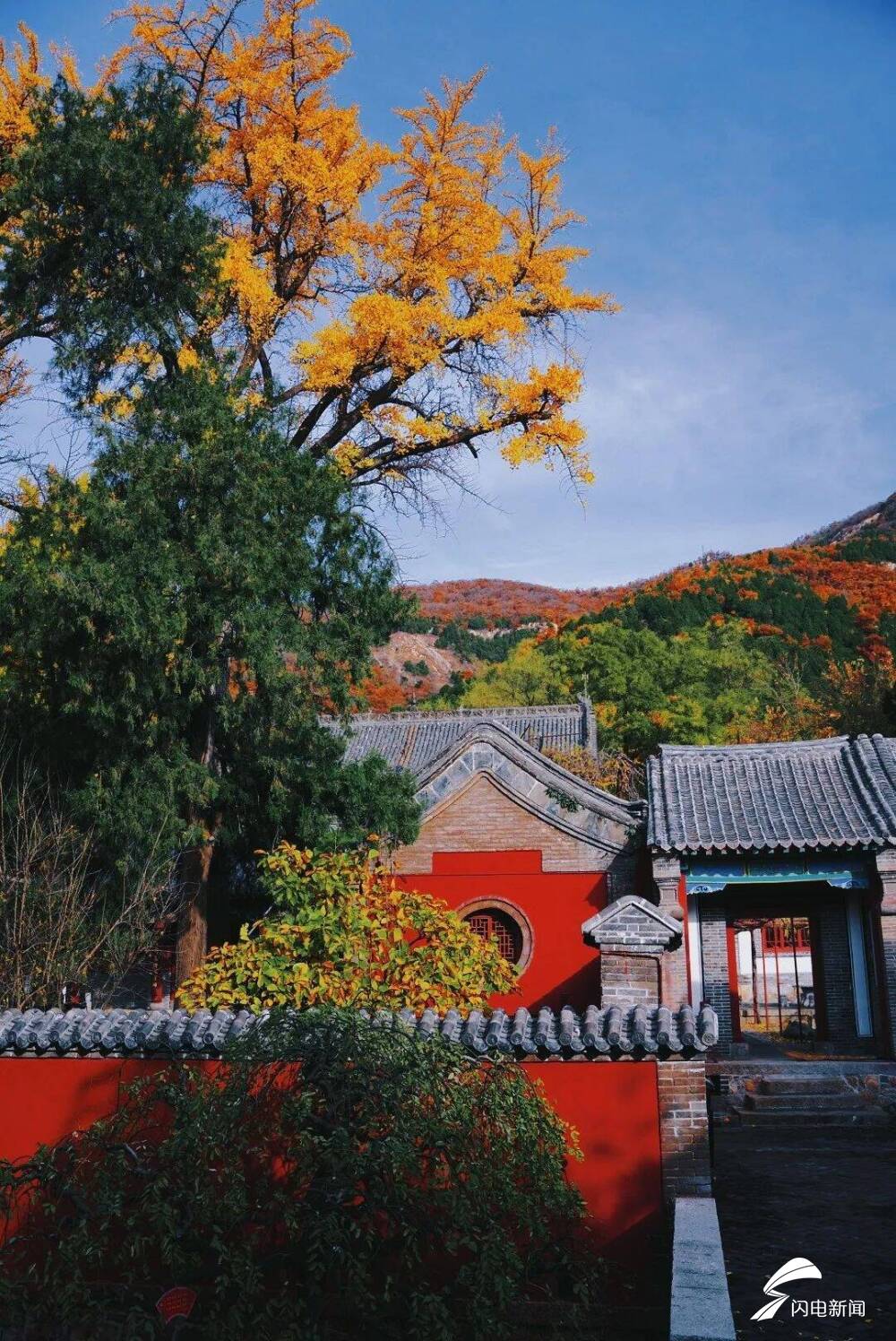 组图丨初冬泰山普照寺:落叶成毯 静谧如诗|泰山普照寺|普照寺|落叶