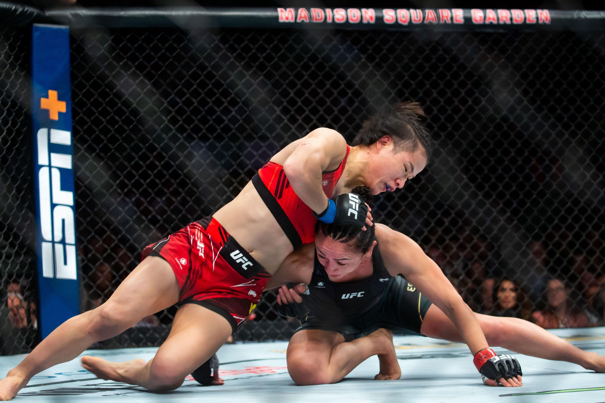 健身房跑步时,一眼就看到了楼下时代广场大屏幕上的ufc281比赛海报