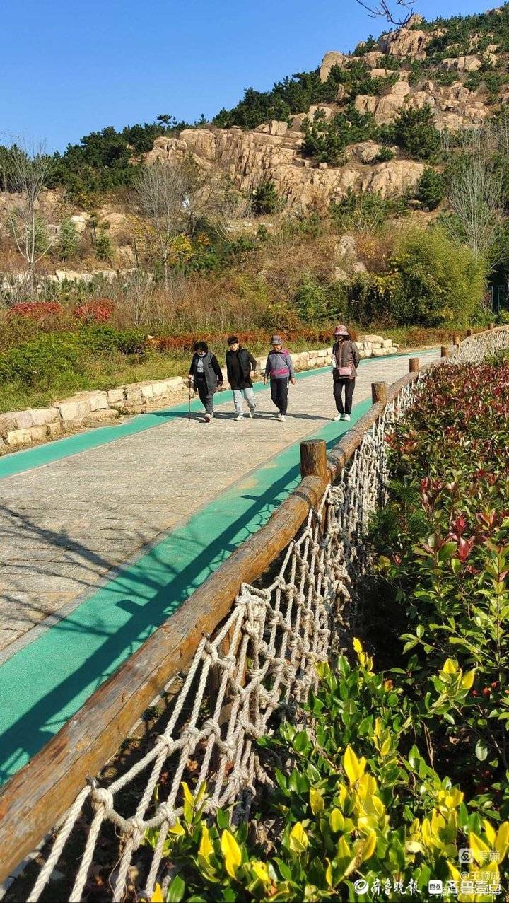 王顺成|层林尽染的青岛金岭山生态公园|金岭山|王顺成|生态公园_新浪