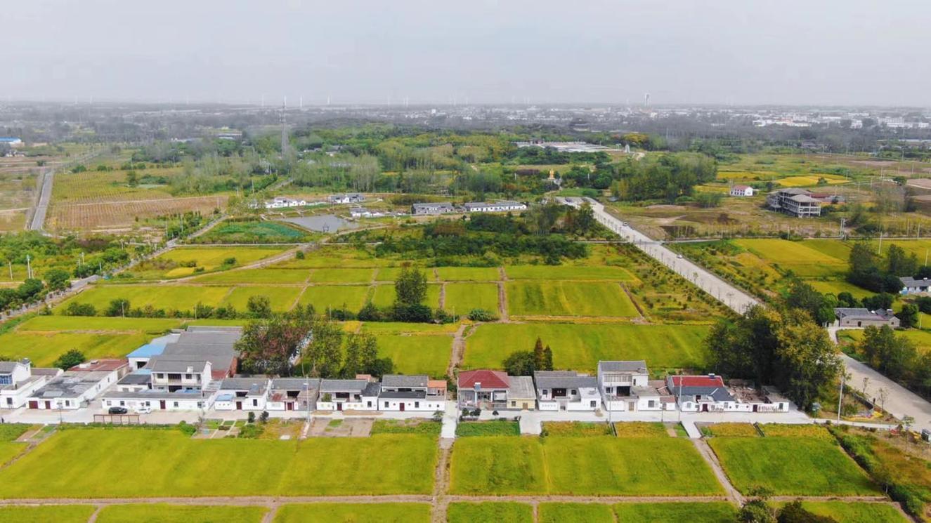 扬州6村新晋特色田园乡村唱响乡村振兴田园牧歌