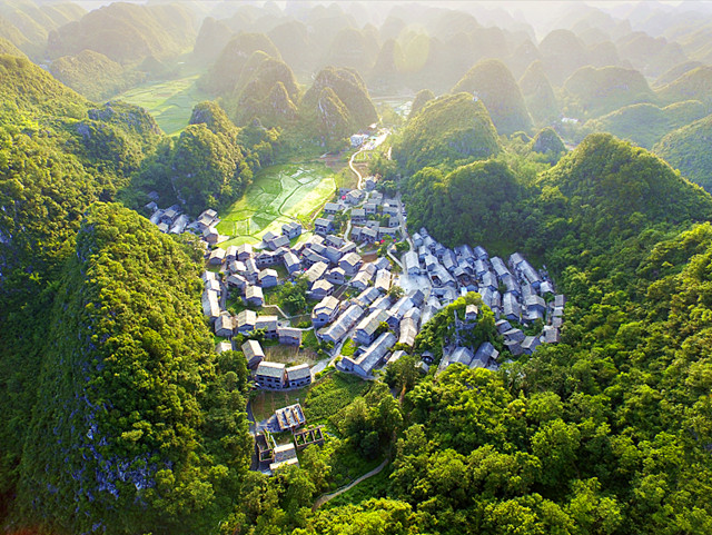 贵州安顺市镇宁县林权档案点绿成金