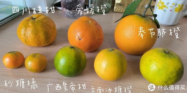 又是炫柑橘的好时节,一大波橘子柑子橙子正在奔涌而来|橘子|橙子|柑橘_新浪新闻