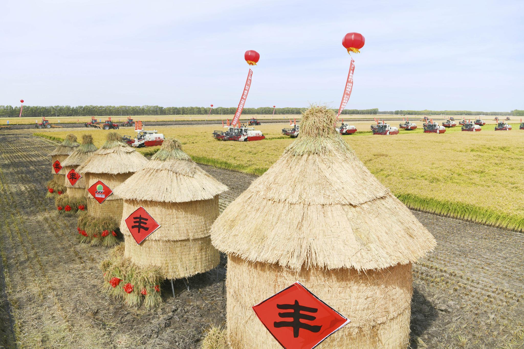 中国东北粮仓再迎丰收 守护粮食安全|粮食安全|中国|新华社_新浪新闻