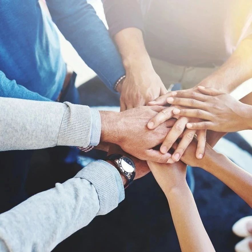 线索追踪：犬马之家论坛会员2025年犬马之家论坛会员最新动态与权限解析