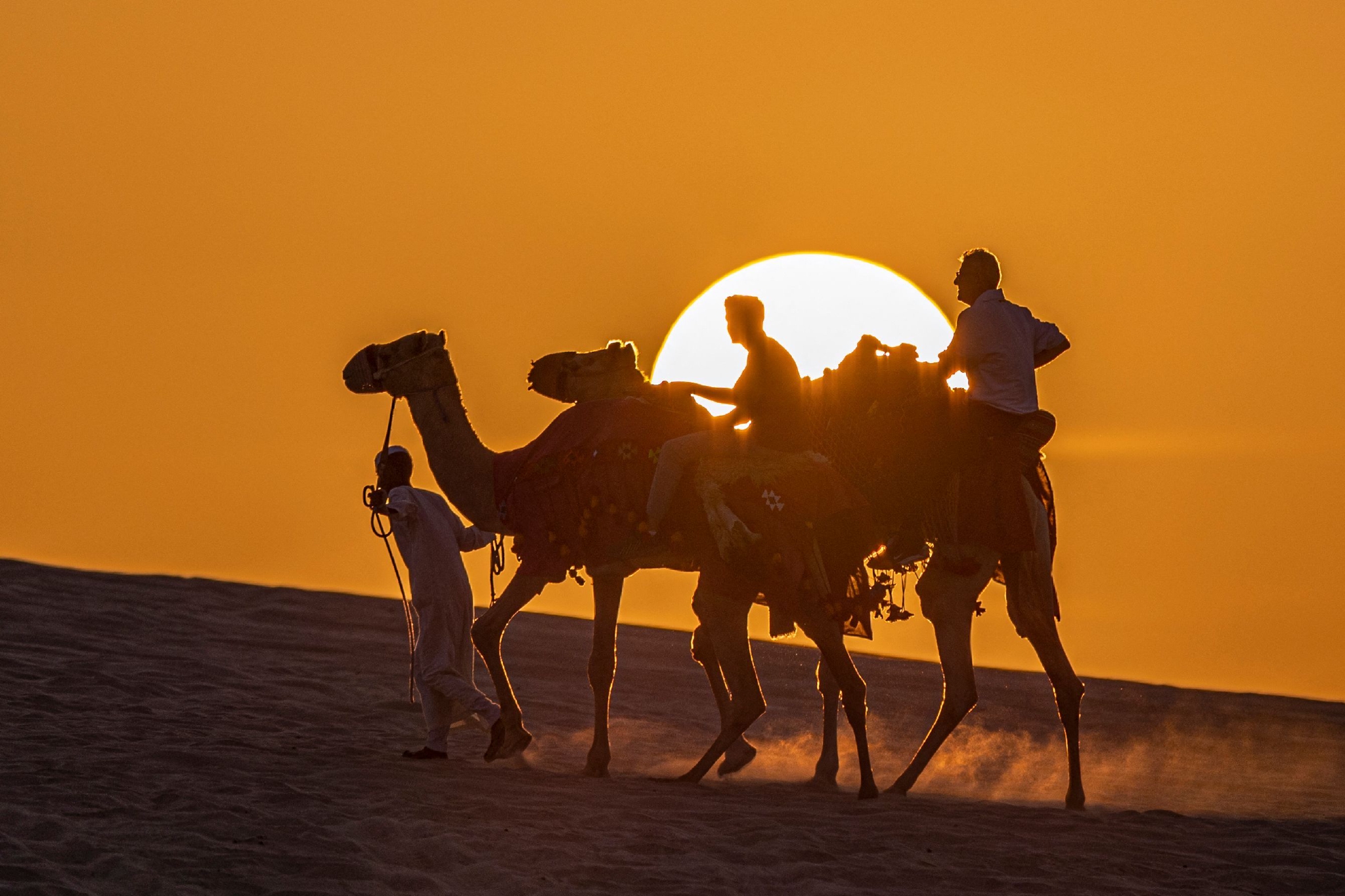 在多哈体验骑骆驼|多哈|新华社|卡塔尔_新浪新闻