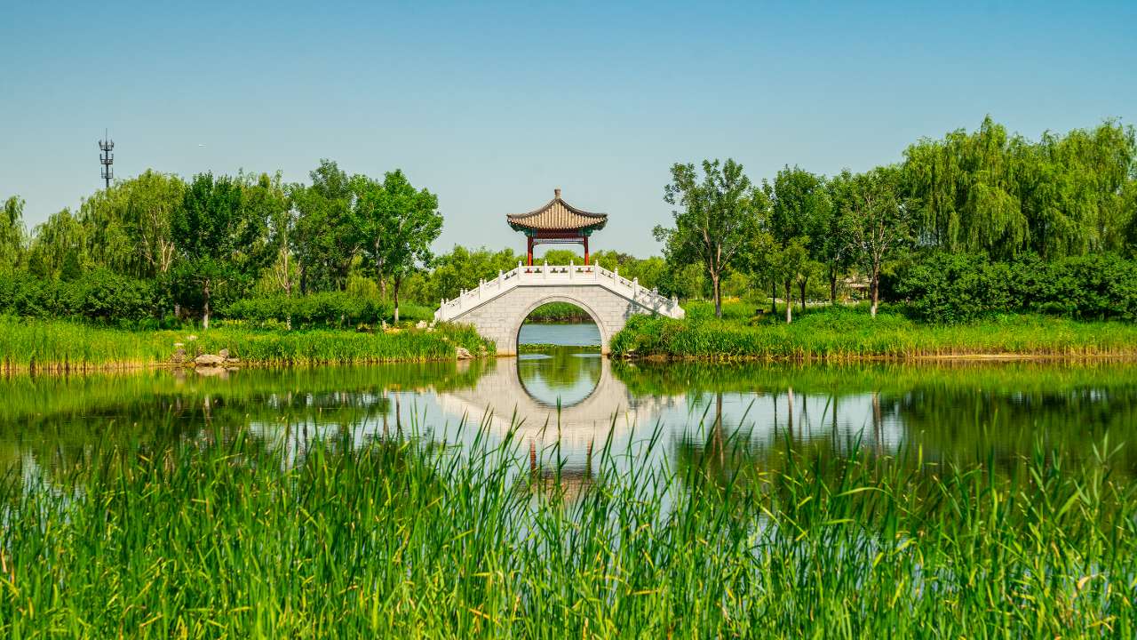北京城市副中心获评"国家森林城市"称号